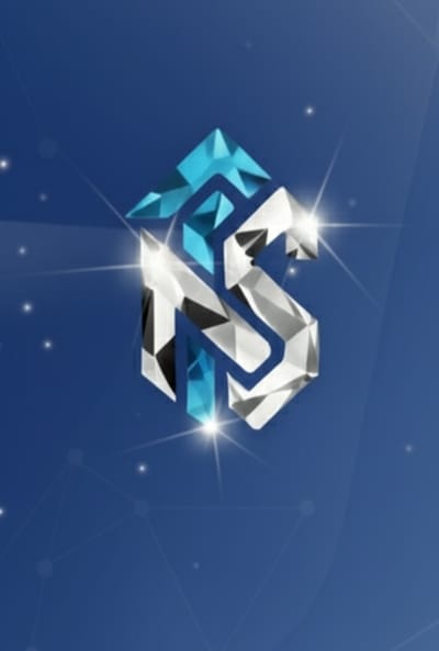 এন এস এন্টারপ্রাইজ logo
